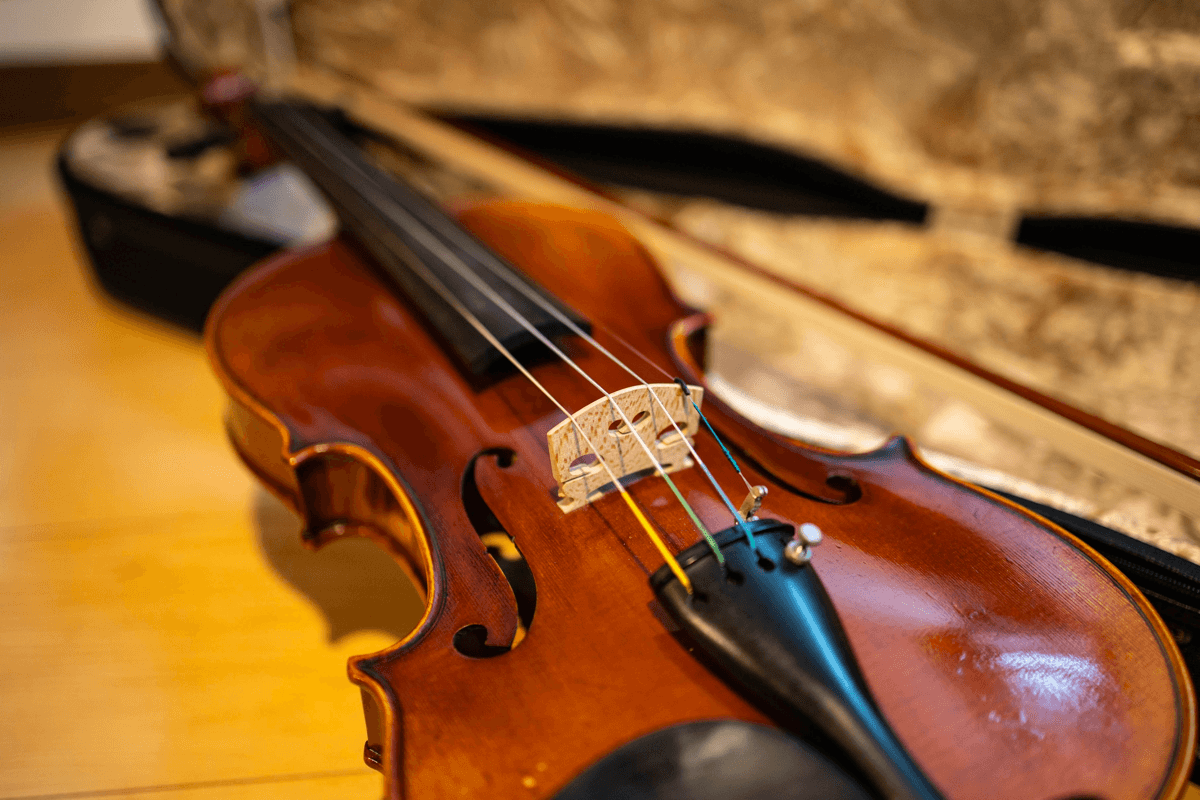 バイオリンは幼少期~高校時代まで習っていました